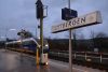 TH-Baumschaden