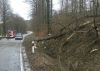 TH-Baumschaden