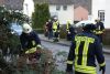 Bild-Nr. 6915 TH-Baumschaden
