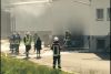 Mittelbrand