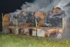 Mittelbrand