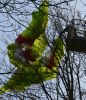 TH nach Flugunfall