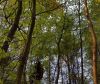 TH nach Flugunfall