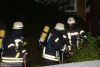 Mittelbrand