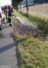 Flächenbrand