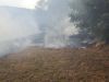 Flächenbrand