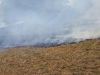 Flächenbrand