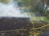 Flächenbrand