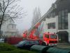 Mittelbrand