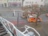Mittelbrand