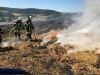 Flächenbrand