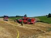 Flächenbrand