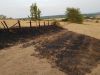 Flächenbrand