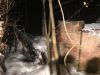 Großbrand