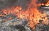 Mittelbrand