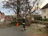 TH-Sturmschaden