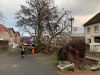 TH-Sturmschaden