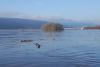 TH-Hochwasser
