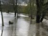 TH-Hochwasser