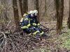 Mittelbrand