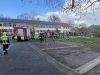 Mittelbrand