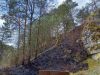 Waldbrand