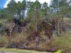 Waldbrand