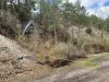 Waldbrand