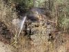 Waldbrand