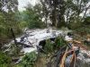 Mittelbrand