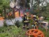 Mittelbrand