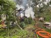 Mittelbrand