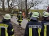 TH-Baumschaden