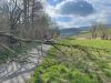 TH-Sturmschaden