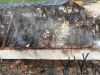 Großbrand