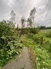 TH-Unwetter