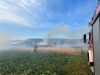 Mittelbrand