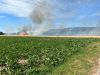 Mittelbrand