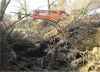 Flächenbrand