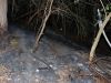 Flächenbrand
