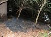 Flächenbrand