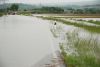 TH-Hochwasser