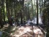 Waldbrand
