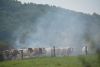 Flächenbrand