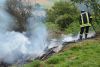 Flächenbrand