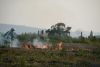 Flächenbrand