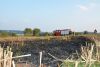 Flächenbrand