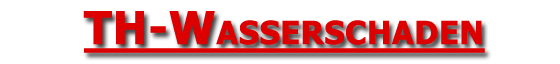 TH-Wasserschaden