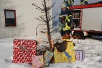 Weihnachtsfotos 2013
