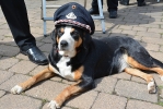 Feuerwehrfest Lütmarsen - 80 Jahre Bestehen